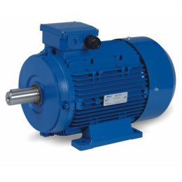 Электродвигатель ABLE MS90L-8 0,55kW