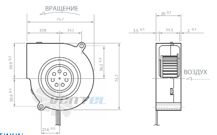 NMB BG0703-B041-000 - описание, технические характеристики, графики