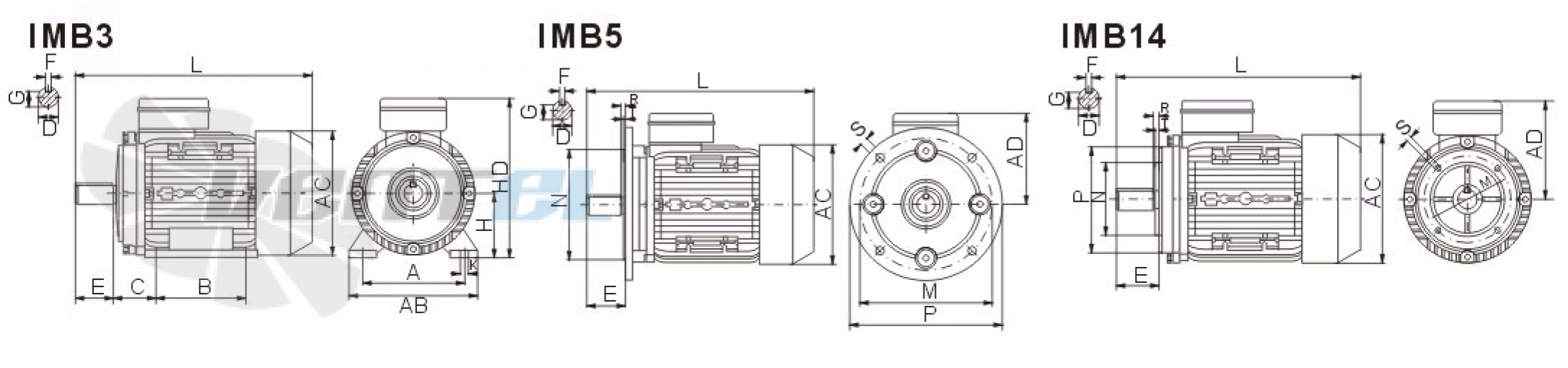 ABLE MC802-4 - описание, технические характеристики, графики