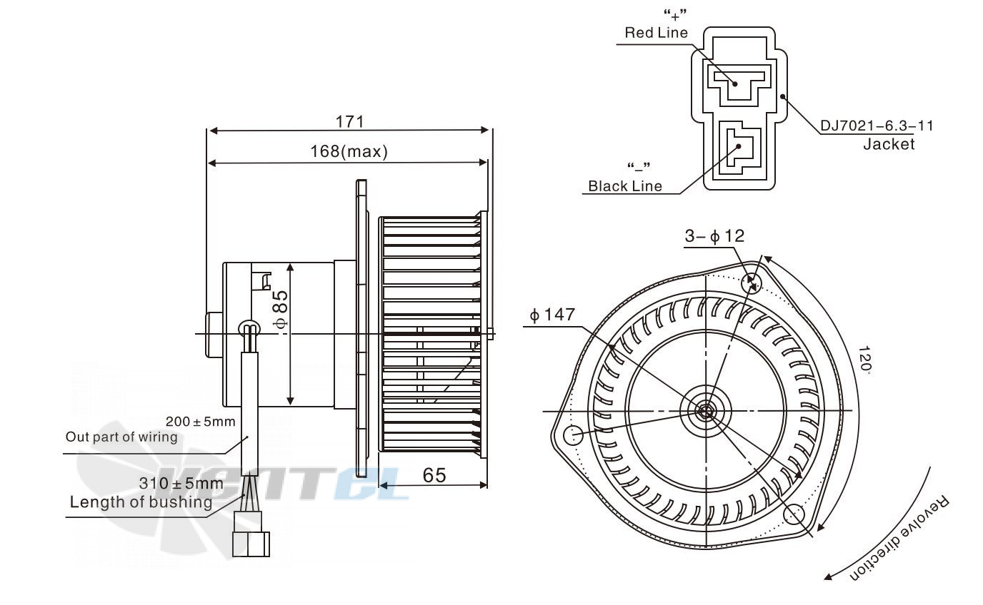 Linrui LINRUI ZHF243A - описание, технические характеристики, графики